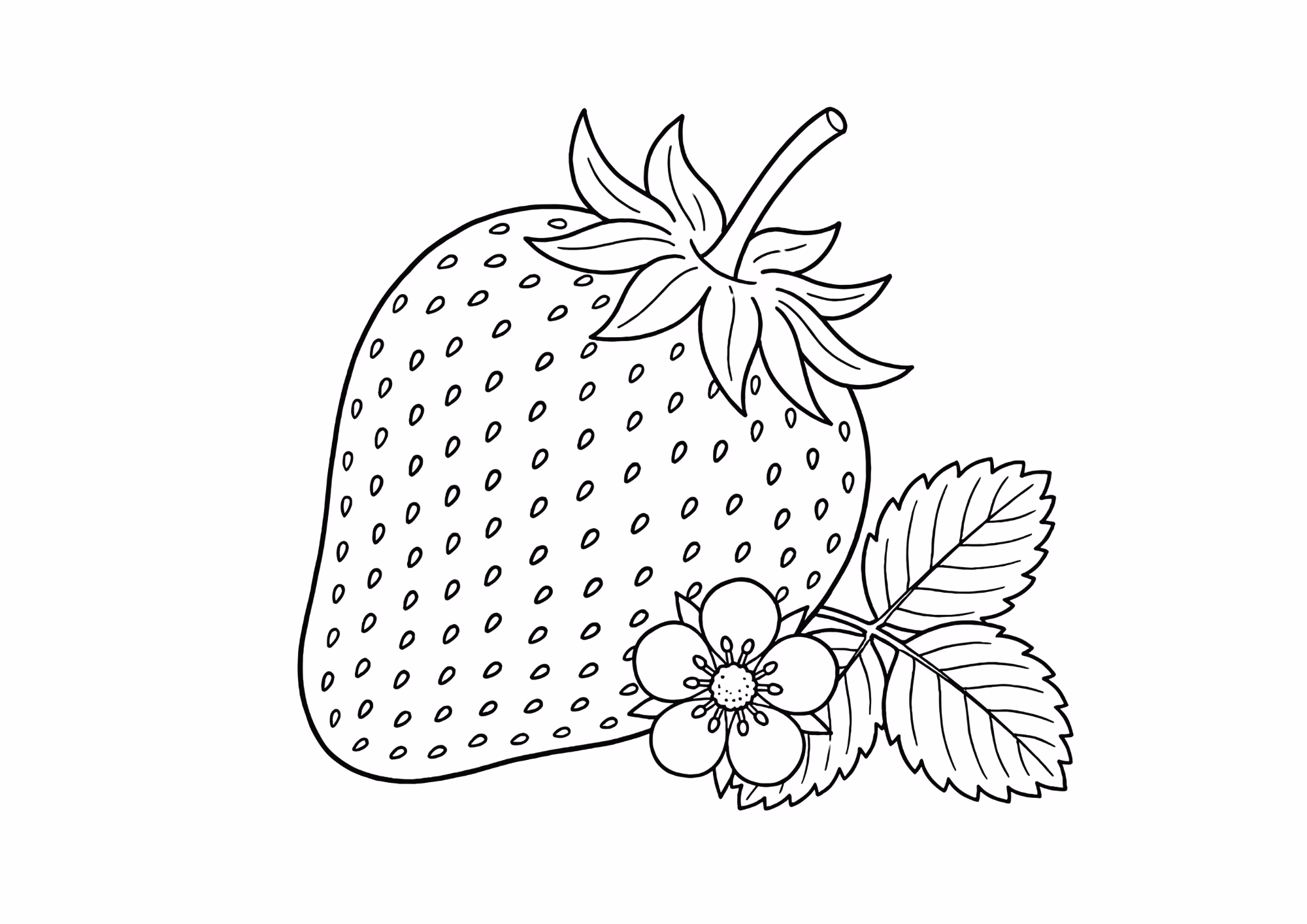 Morango para colorir — desenho para imprimir