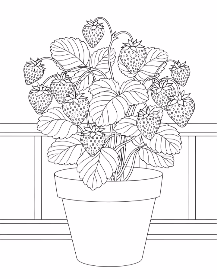 Morango para colorir — desenho para imprimir