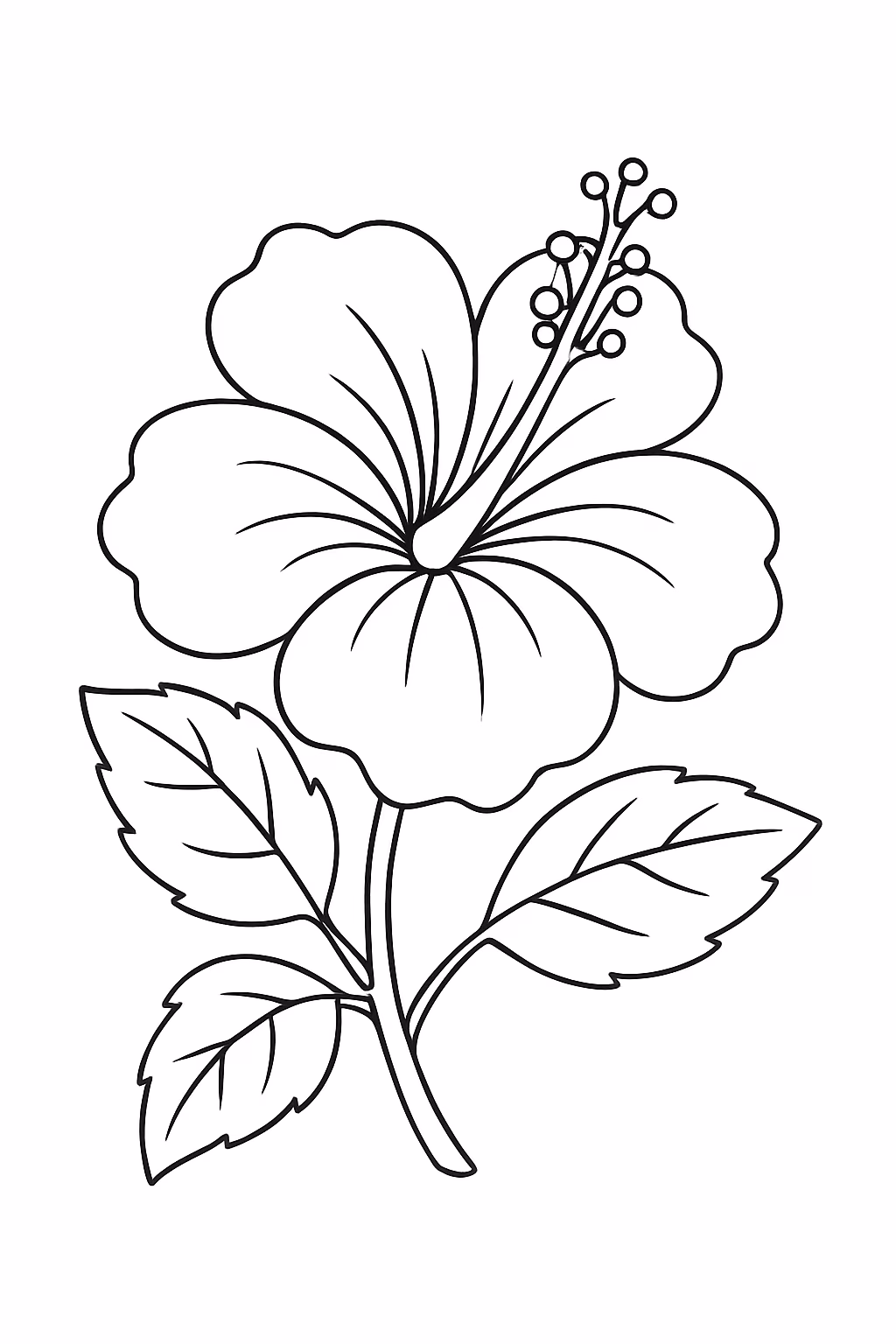Ibisco flor para colorir — desenho para imprimir