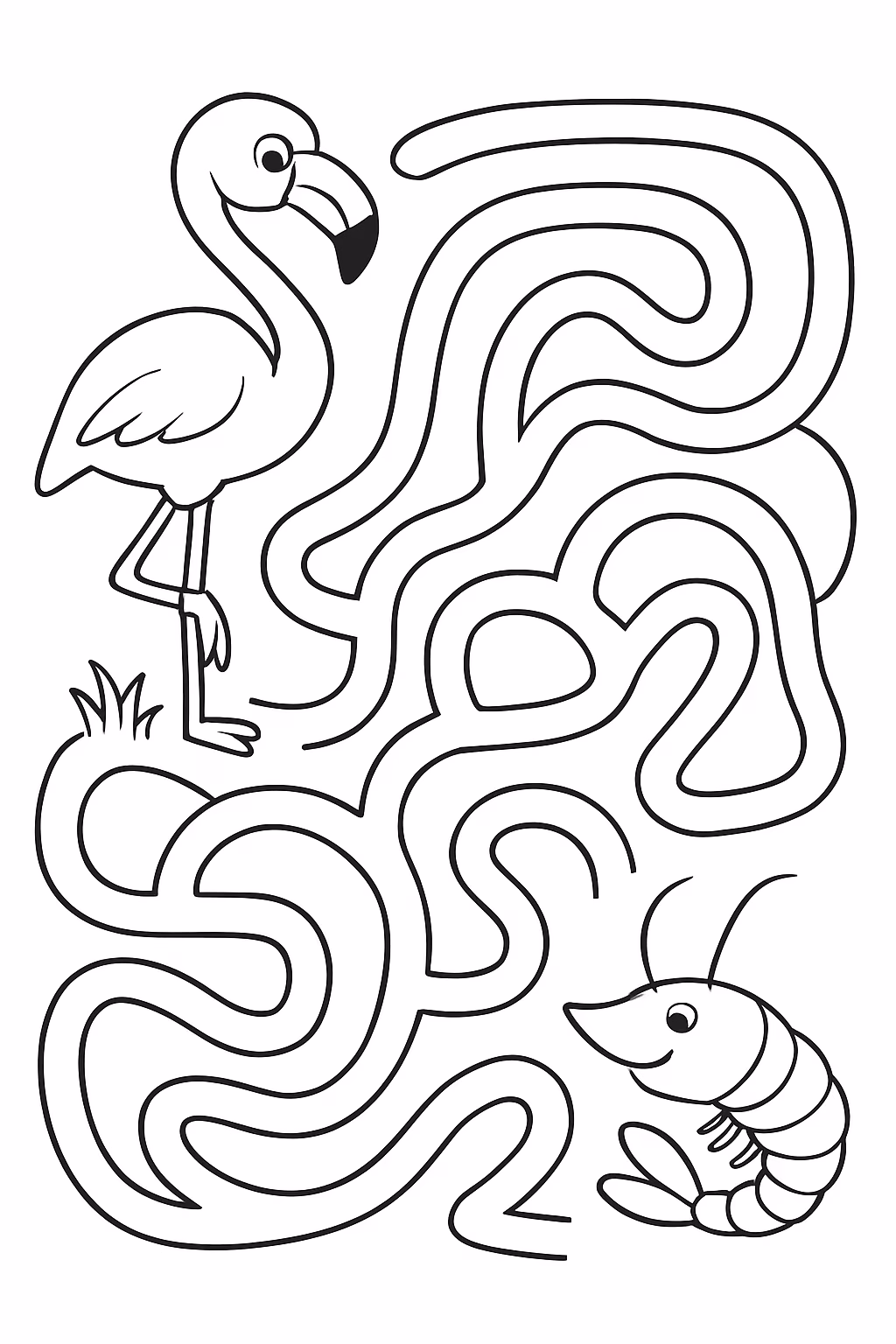 Labirinto de flamingo indo ate o camarao para colorir — desenho para imprimir