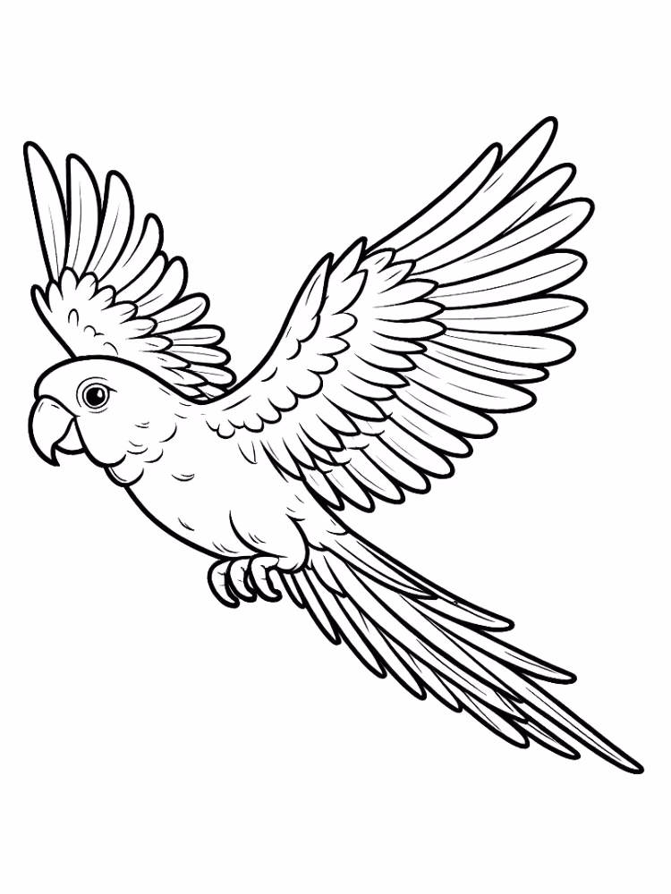 Papagaio para colorir — desenho para imprimir