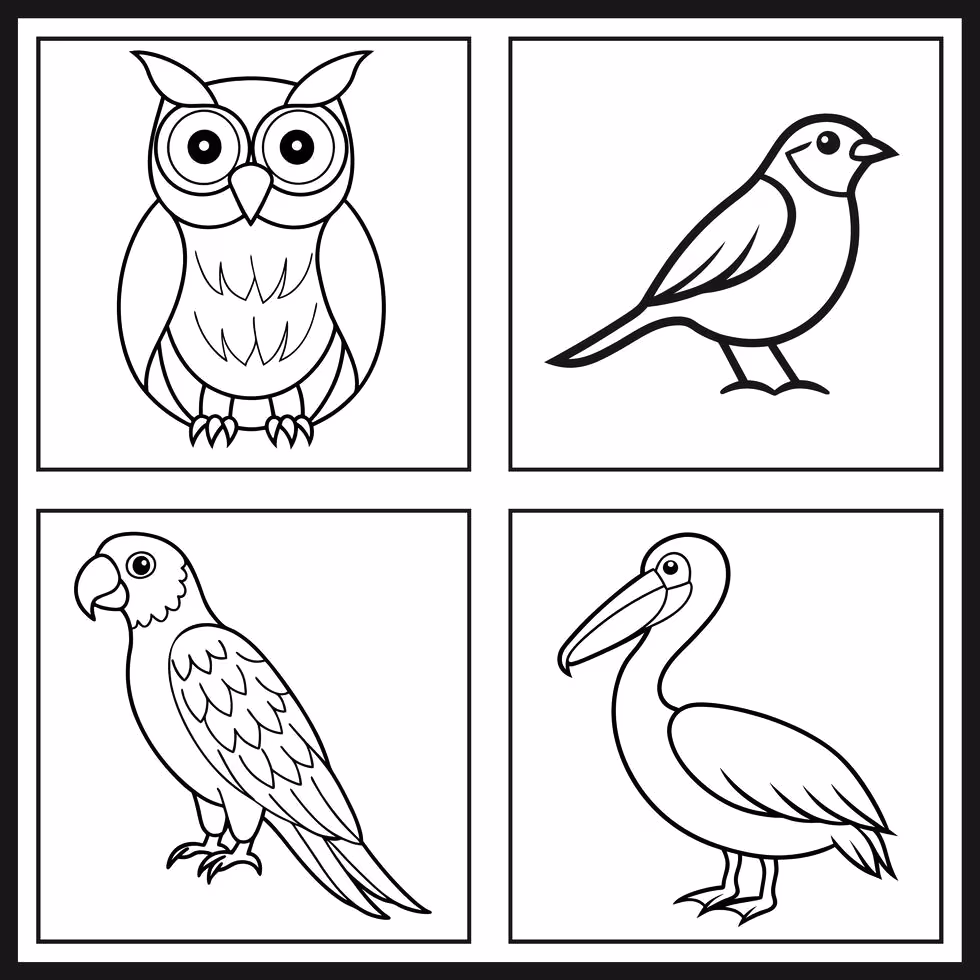 Passaros para colorir — desenho para imprimir