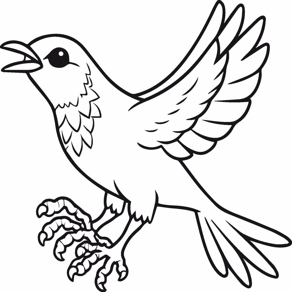 Passaros para colorir — desenho para imprimir