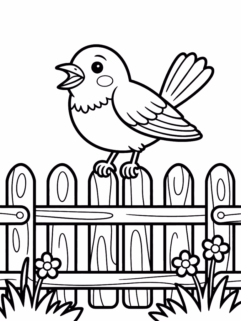 Passaros para colorir — desenho para imprimir