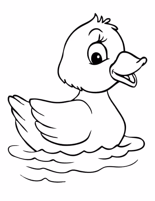 Patinhos para colorir — desenho para imprimir