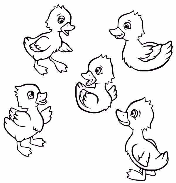 Patinhos para colorir — desenho para imprimir